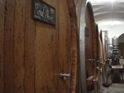 Barrels of Pinot Noir in the cellars of Kloster Fahr