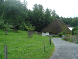 Thatched house in front of the woods at Ballenberg