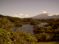 View of Lake Mangamahoe (Taranaki) with Mount Egmont on the horizon