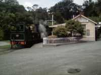 Steam train at Shantytown