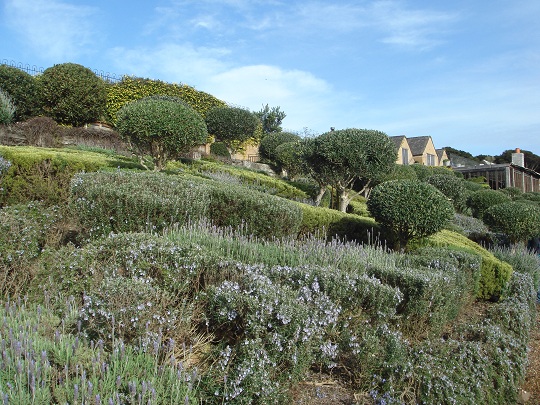 Waiheke Island - Mudbrick Vineyard