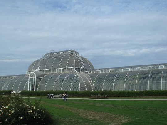 London - Kew Gardens Palm House