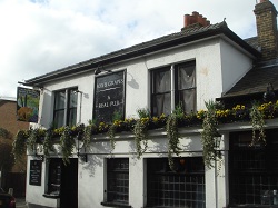 London - Fox and Grapes, Wimbledon
