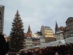 Strasbourg - Christmas tree at Place Kleber