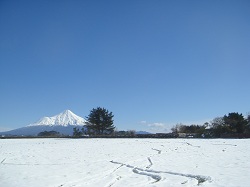 New Zealand - Mt Egmont / Taranaki after a snow dump