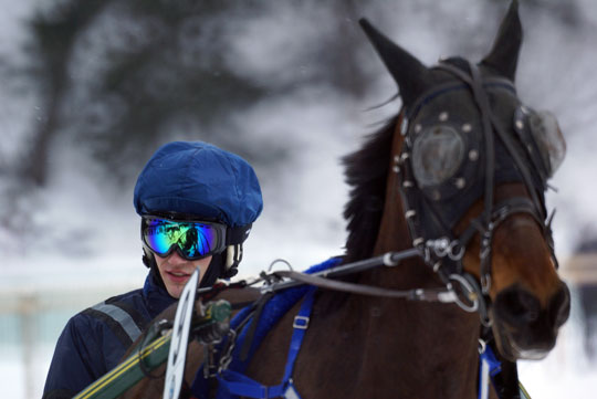 St Moritz - White Turf trotter