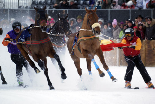 St Moritz - Skijöring at White Turf