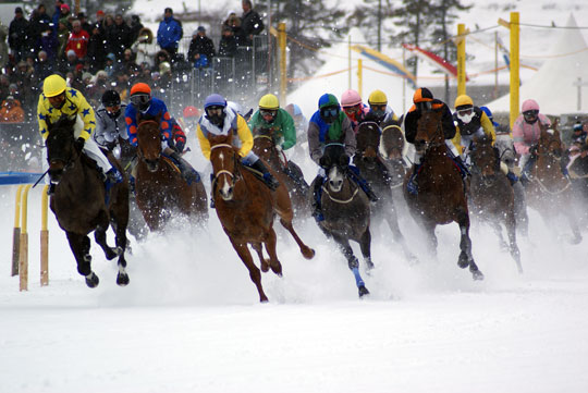 St Moritz - gallops at White Turf