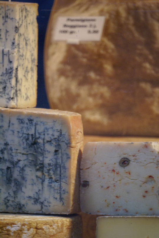 Zürich - cheese stall at the market