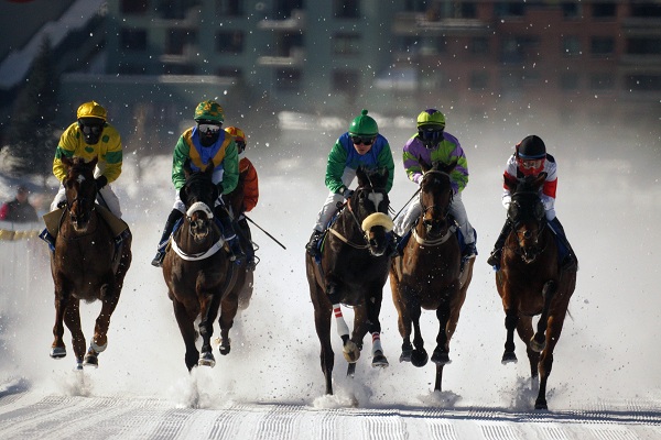 St Moritz - gallops at White Turf