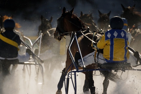 St Moritz - The Trots