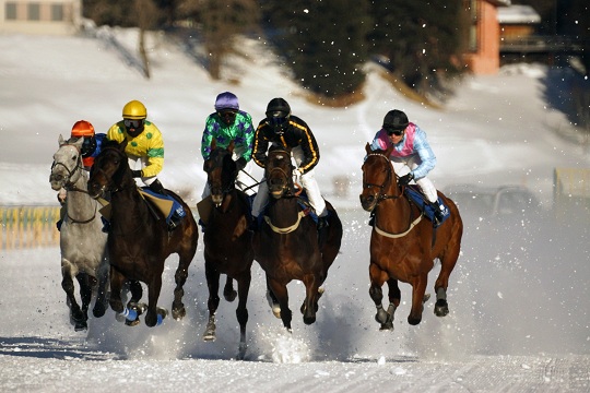 St Moritz - Gallops at White Turf