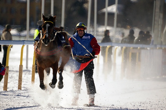 St Moritz - Skijöring at White Turf